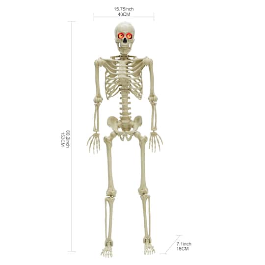 5ft. Light Up Eyes Skeleton by Ashland®